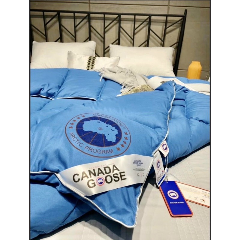 chăn bông lông vũ canada goose 2mx2m3 nhập khẩu