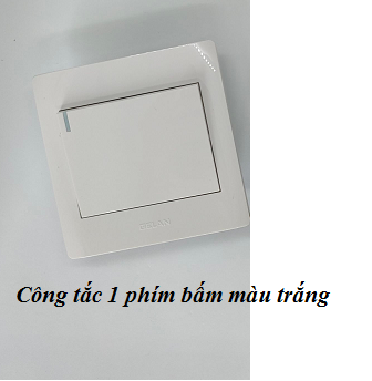 Công tắc 1 phím bấm (1 chiều, 2 chiều hoặc 3 chiều)