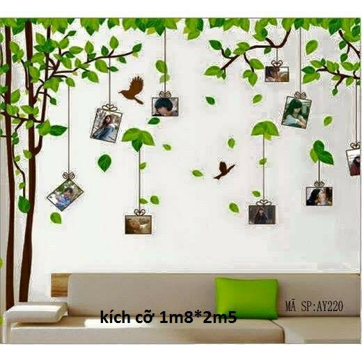 decal dán tường cây khung ảnh 2mx2m