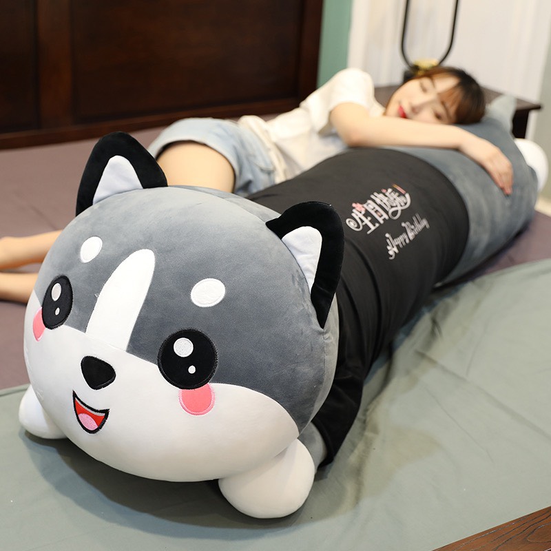 [HCM]gấu bông mèo ôm Hàn Quốc