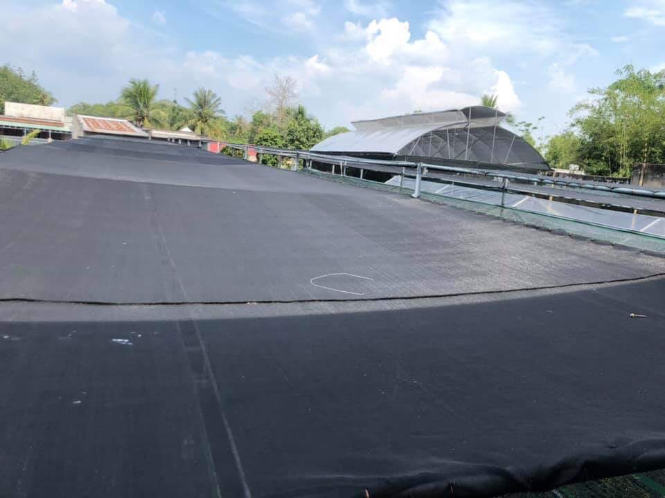 Lưới che nắng dệt kim  3m x 4m ( đài loan)