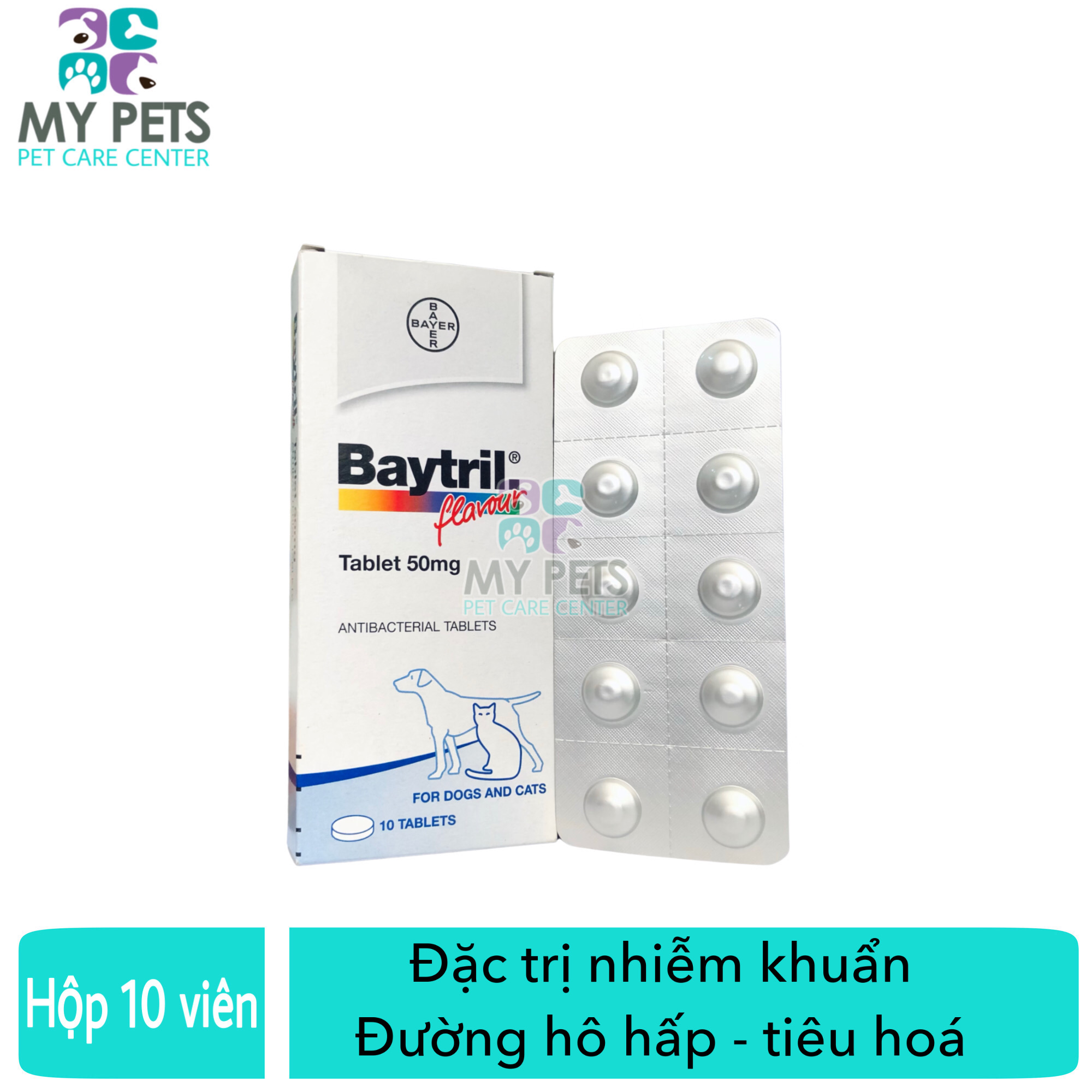Baytril flavour đặc trị nhiễm khuẩn đường hô hấp, tiêu hóa cho chó mèo