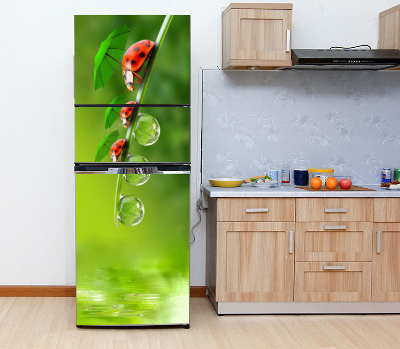[HCM]Decal dán trang trí tủ lạnh Bọ cánh cam