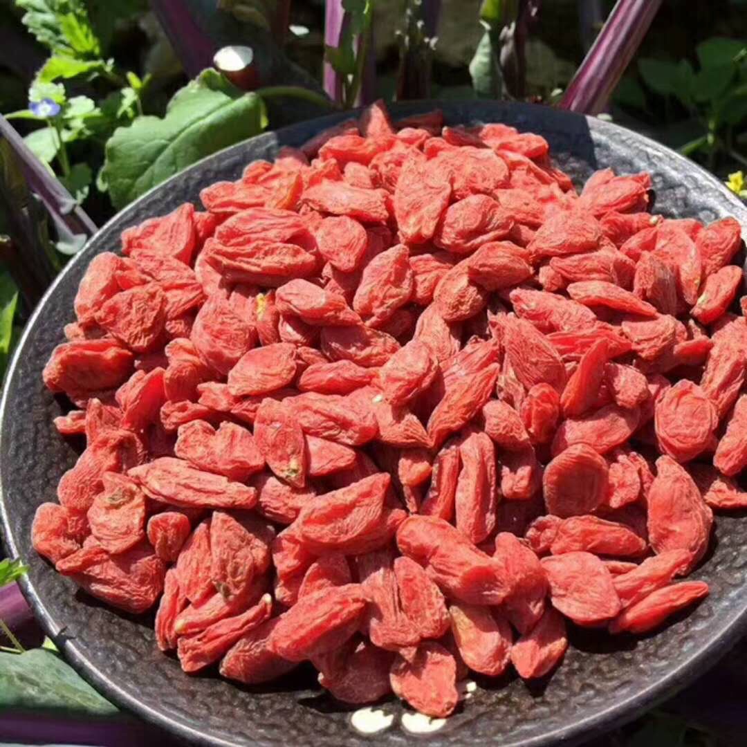 [HCM]TRÀ KỶ TỬ NINH HẠ 200Gr