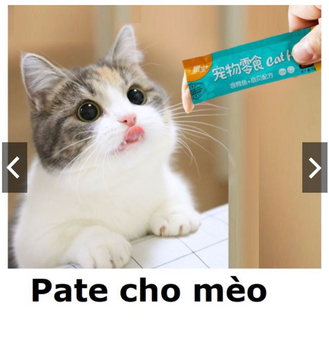 Thanh pate cho mèo 15gr