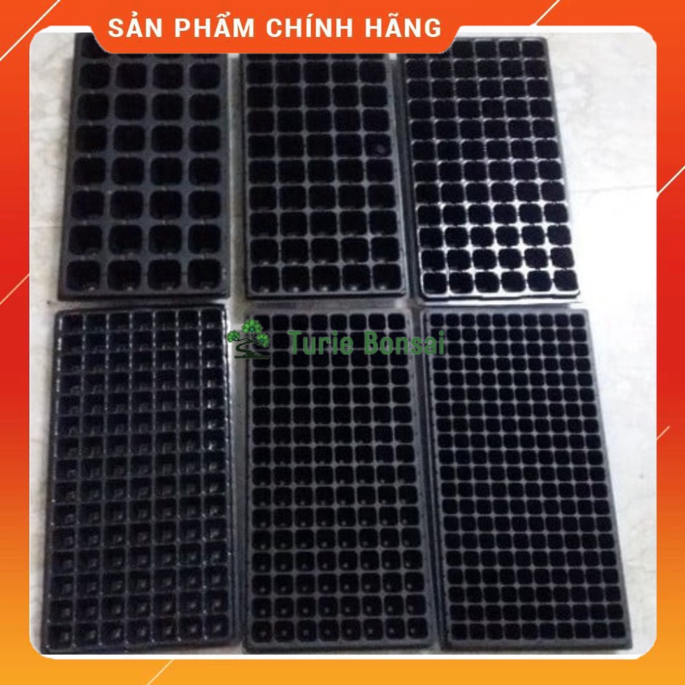 Khay ươm mầm vỉ ươm hạt cây mầm các cỡ (1 cái)