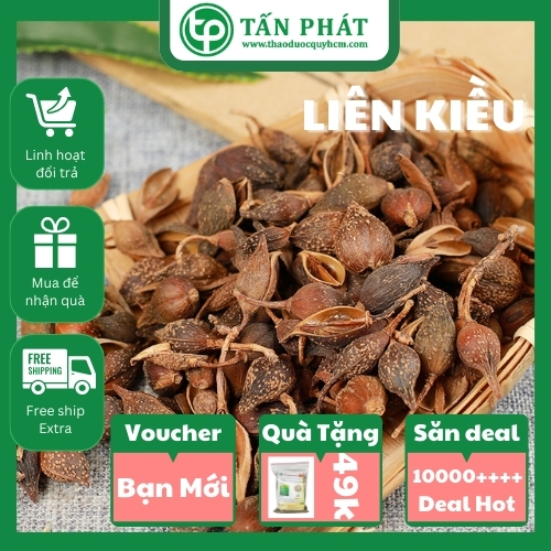 [Hàng mới về] Liên kiều sấy khô 100g (thơm, sạch) - Thảo Dược Tấn Phát - Hỗ trợ thanh nhiệt, lợi tiểu và cường tim