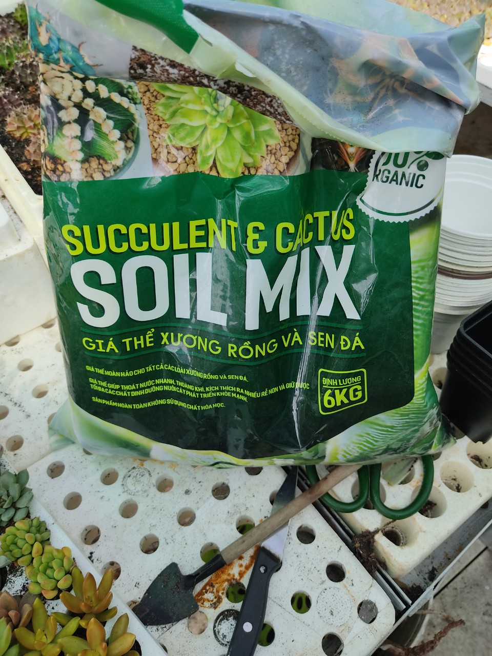Đất trồng sen đá - xương rồng Soilmix 6kg