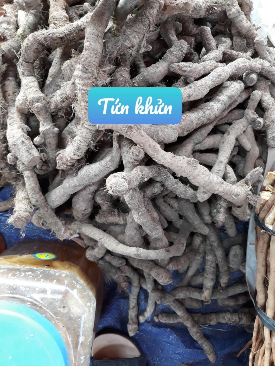 Rễ Tứn Khửn Tươi 1kg