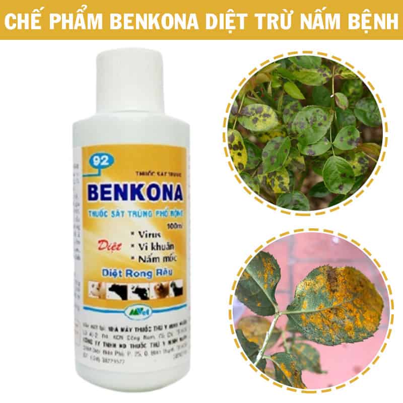 Combo Phân Bón Chăm Sóc Hoa Hồng Sau Ra Hoa