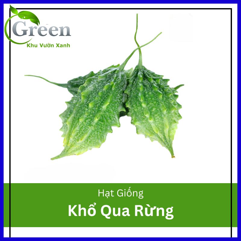 Hạt Giống Khổ Qua Rừng Chọn Lọc Tự Nhiên, Thu Ngọn Thu Trái
