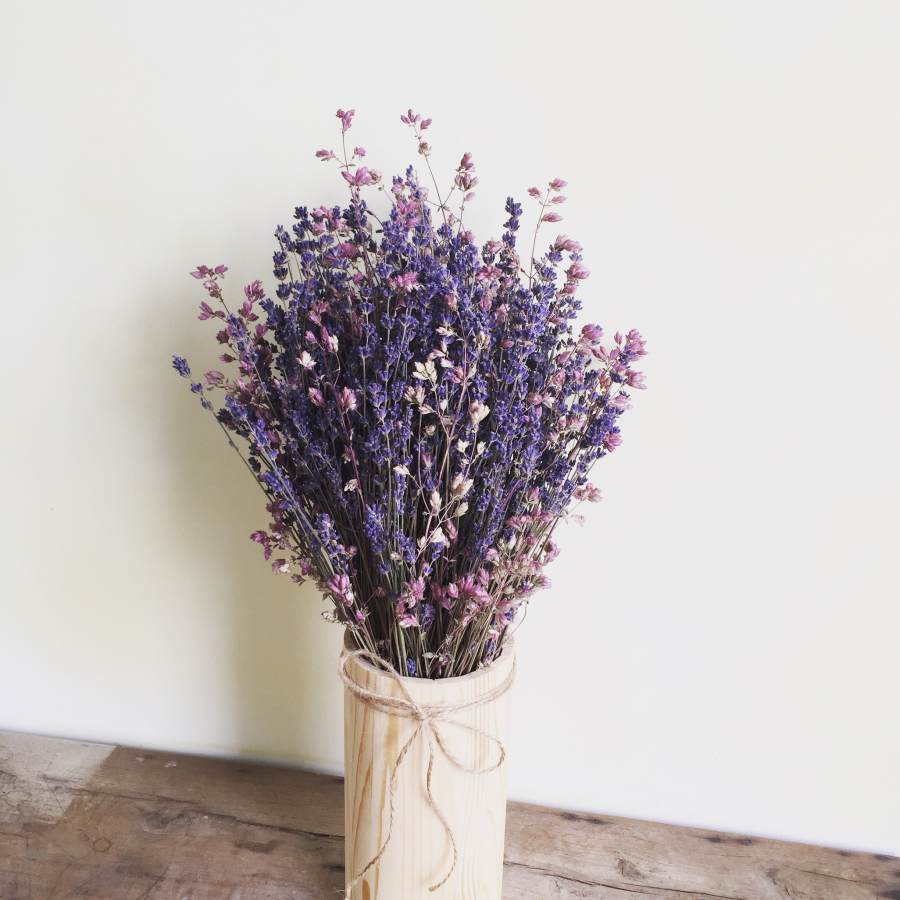 Hạt Giống Hoa Oải Hương Lavender Trồng Quanh Năm