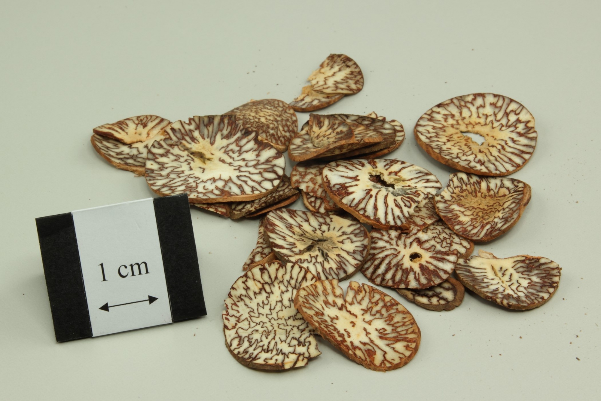 Binh Lang - Hạt Cau 100 g - Bing Lang