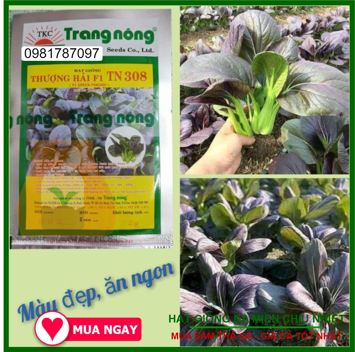 Hạt giống cải thìa đỏ thượng hải f1 tn308 gói 2gram