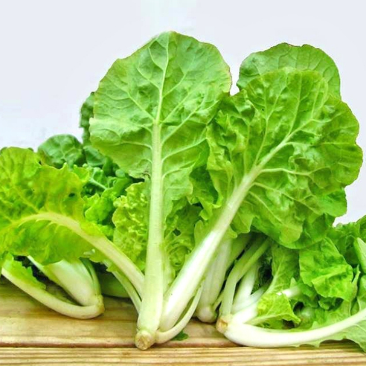 Hạt giống Cải bẹ dún gói 20gr