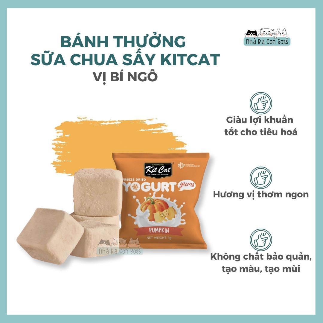 Sữa chua sấy thăng hoa cho mèo Kitcat 10g
