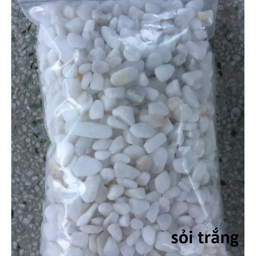 Sỏi trang trí bể cá 1kg