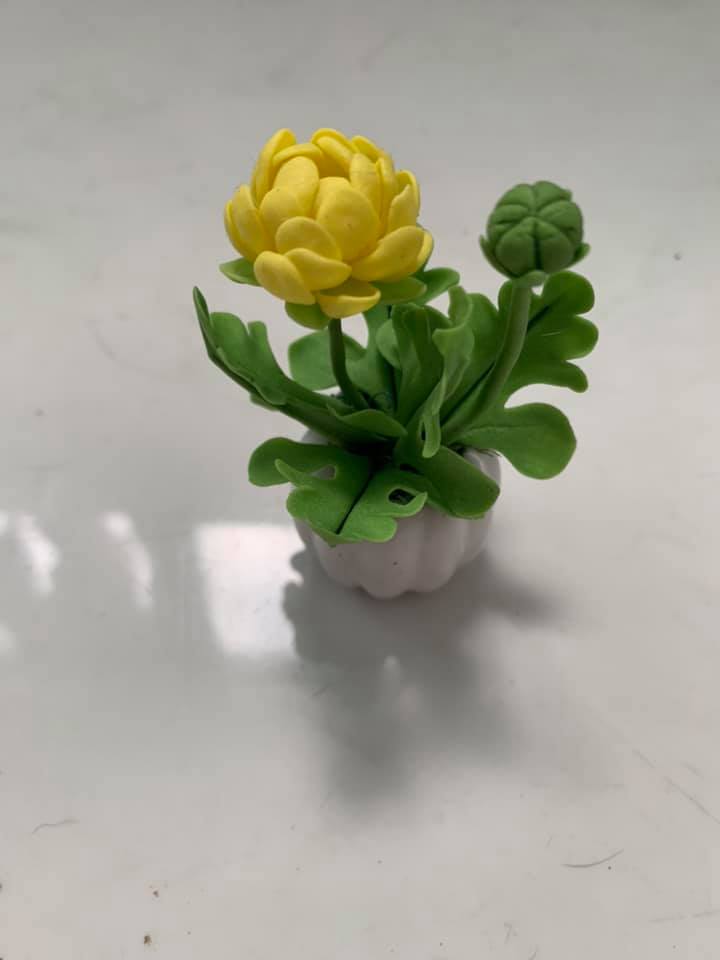Chậu hoa đất sét mini