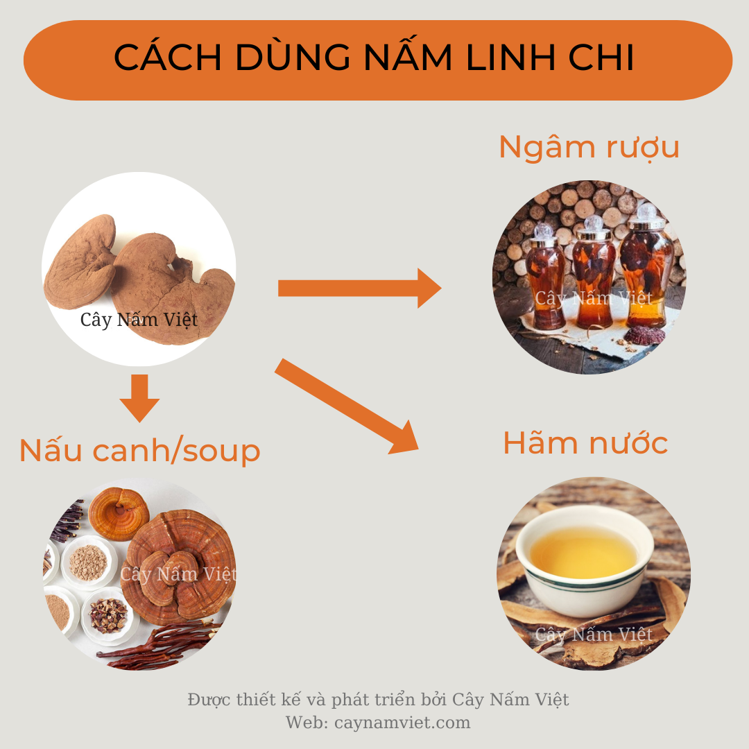 Nấm linh chi đỏ 500g xay bột ( Giống xích chi Việt Nam) CNV
