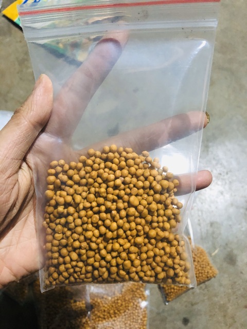 100gr phân tan chậm cho sen đá- xương rồng- hoa-cây cảnh