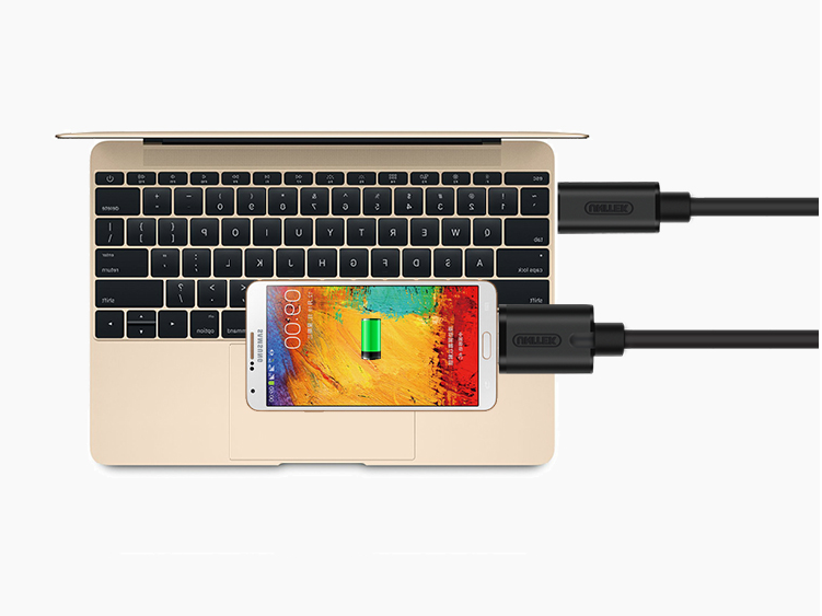 Cáp chuyển đổi USB 3.1 Type-C sang Micro B Unitek Y-C475BK