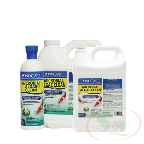 Xử Lý Tảo Hại API Pondcare Microbial Algae Clean