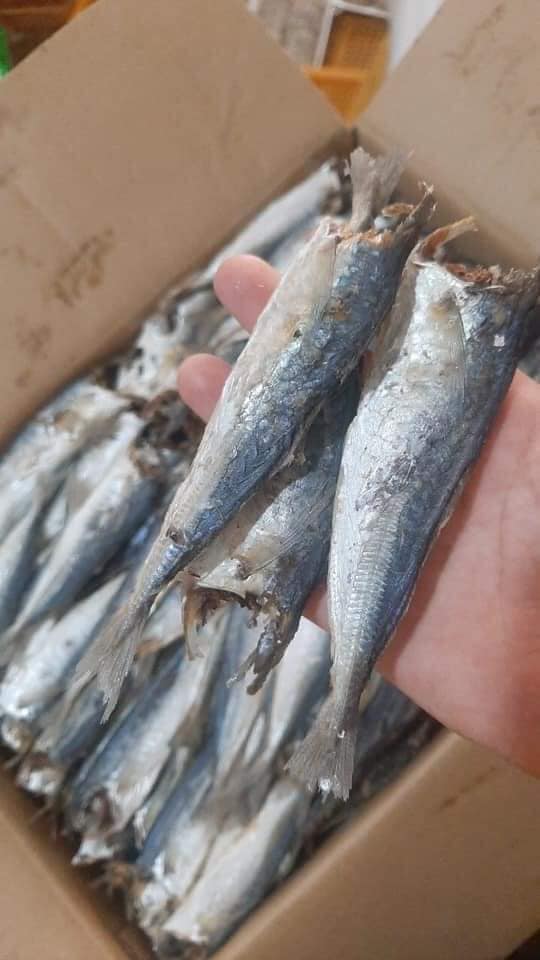 Bán sỉ 1 kg cá nục hấp nhạt