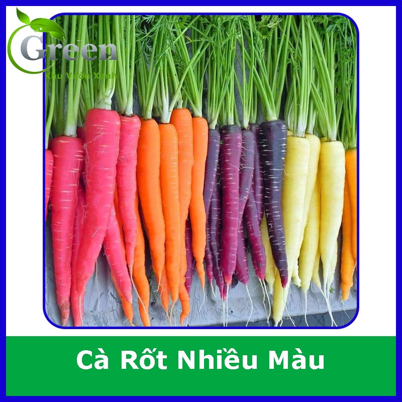 Hạt Giống Cà Rốt Nhiều Màu (Gói 50 hạt) Trồng Quanh Năm