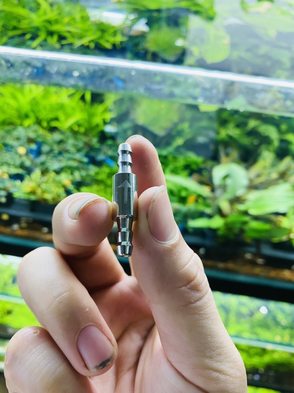 Van 1 Chiều Inox Gắn Sủi Co2 - Oxy dành cho bể cá thủy sinh