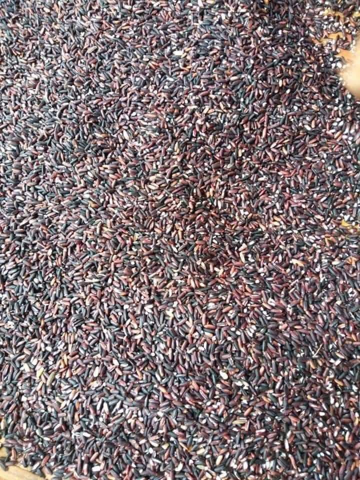 Gạo nếp Cẩm 5Kg