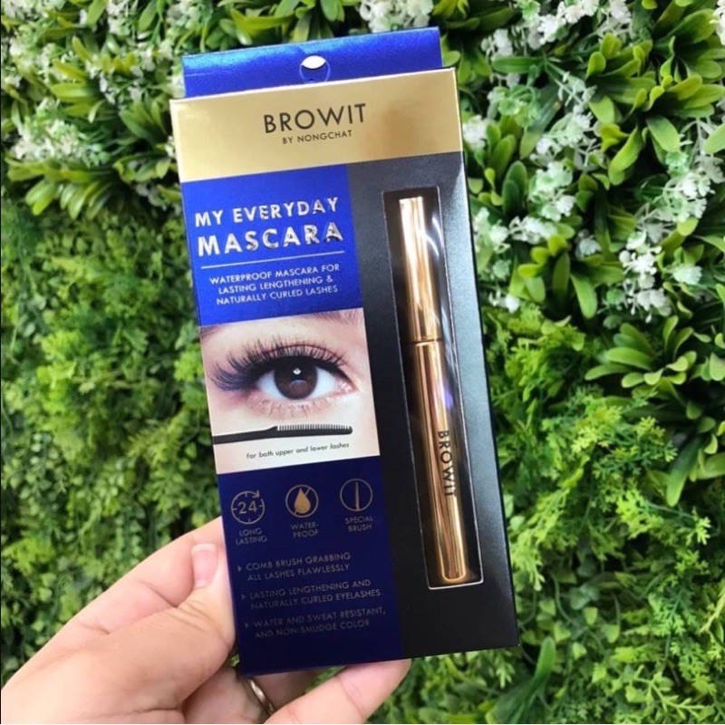 Macara nongchat browit