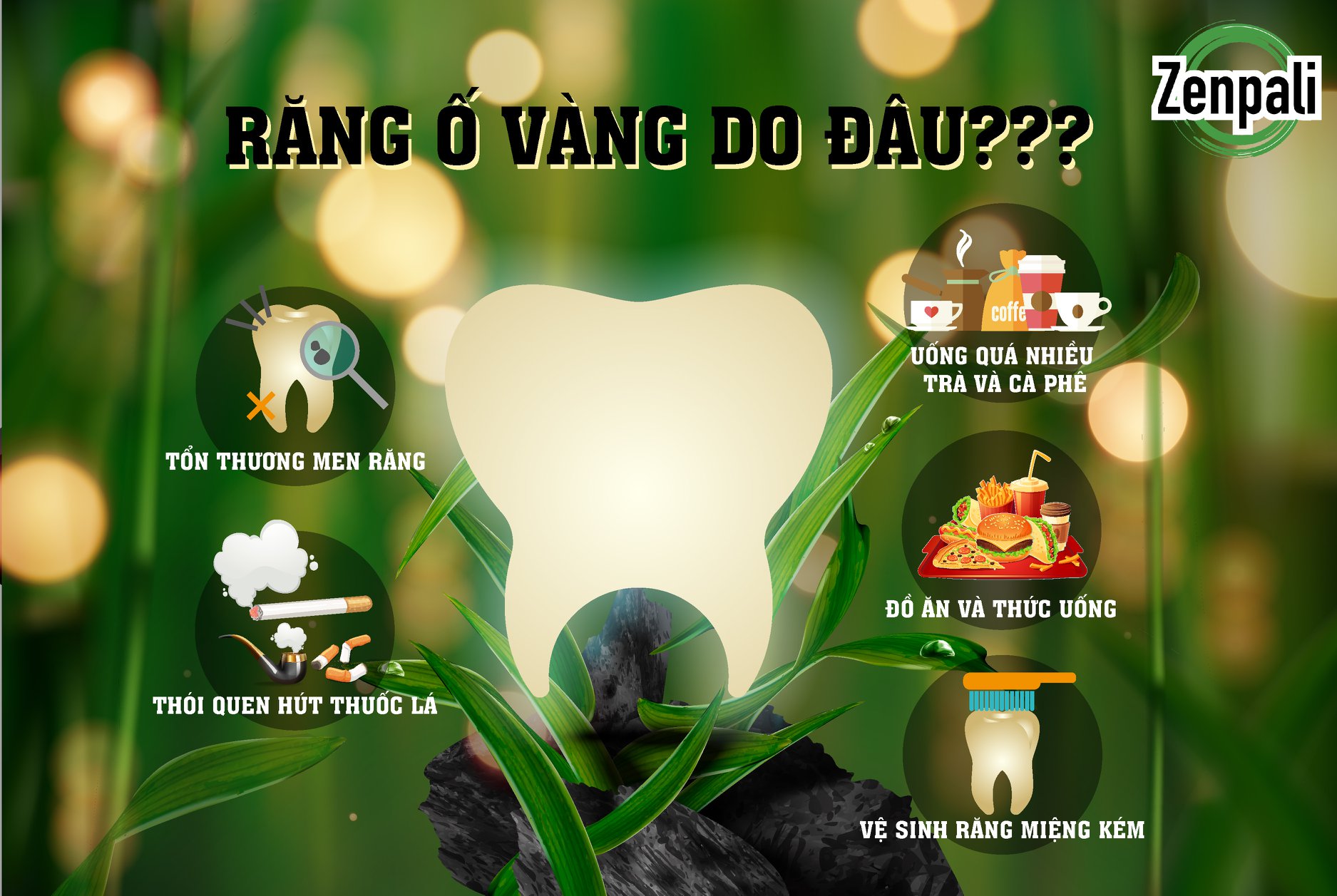 Bột than tre hoạt tính làm trắng răng Zenpali (20g/50ml)