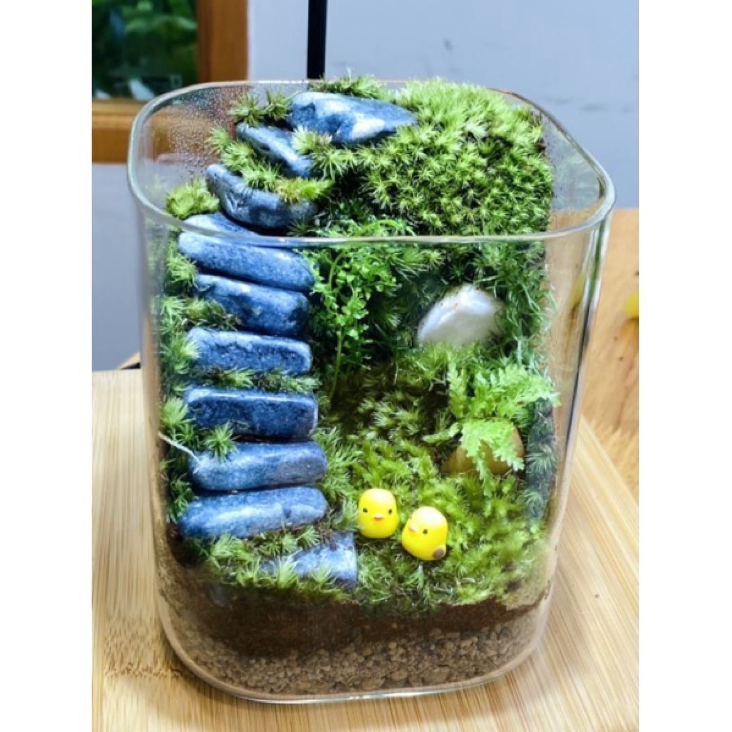 Đá bậc thang trang trí tiểu cảnh, terrarium....