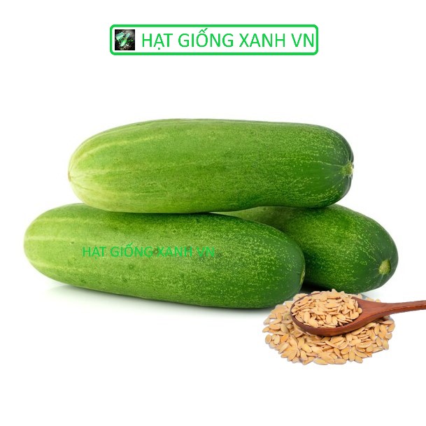 [Seeds] Hạt giống dưa leo lai f1 RD9339, đóng gói 1gr (khoảng 40 hạt)