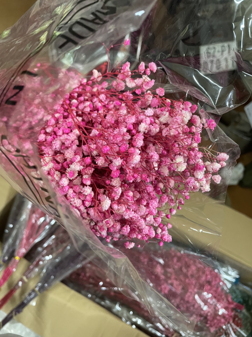 [HCM]HOA BABY KHÔ Bó 100g