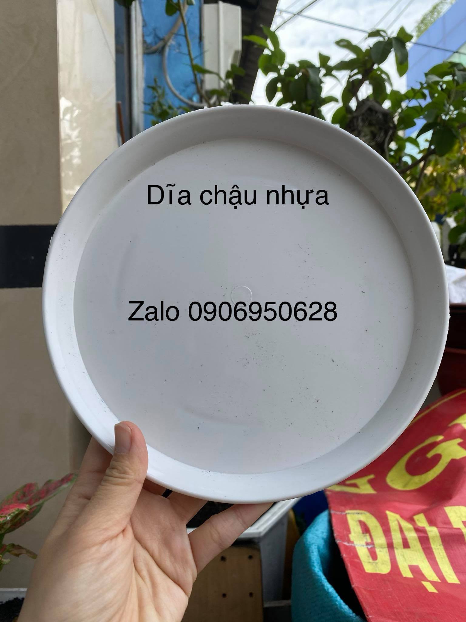 [HCM]chậu nhựa bông lúa 28 (có kèm dĩa lót)