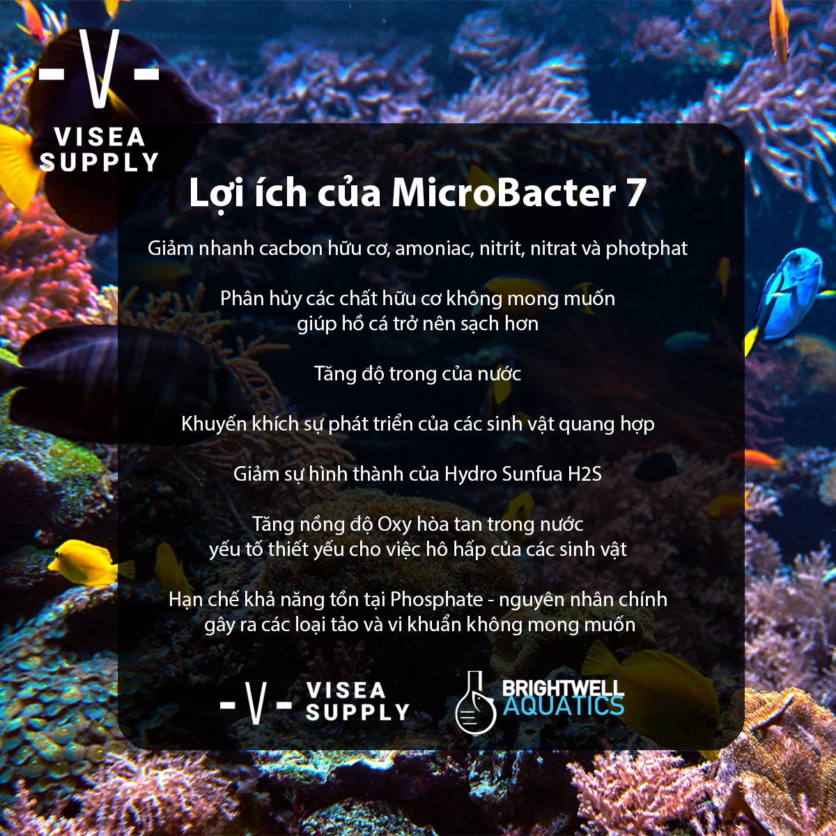 MICROBACTER 7 FOR ANIMAL FISHES – BRIGHTWELL AQUATICS
