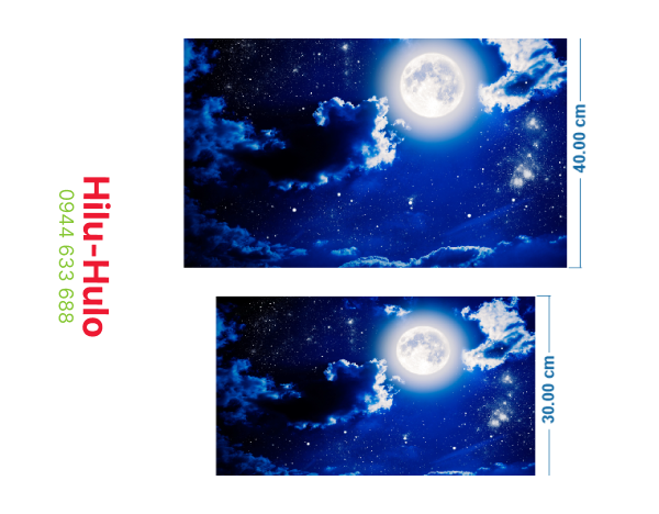 Tranh dán bể cá 3D - Decal dán bể cá kiểu Moon - Trăng đêm