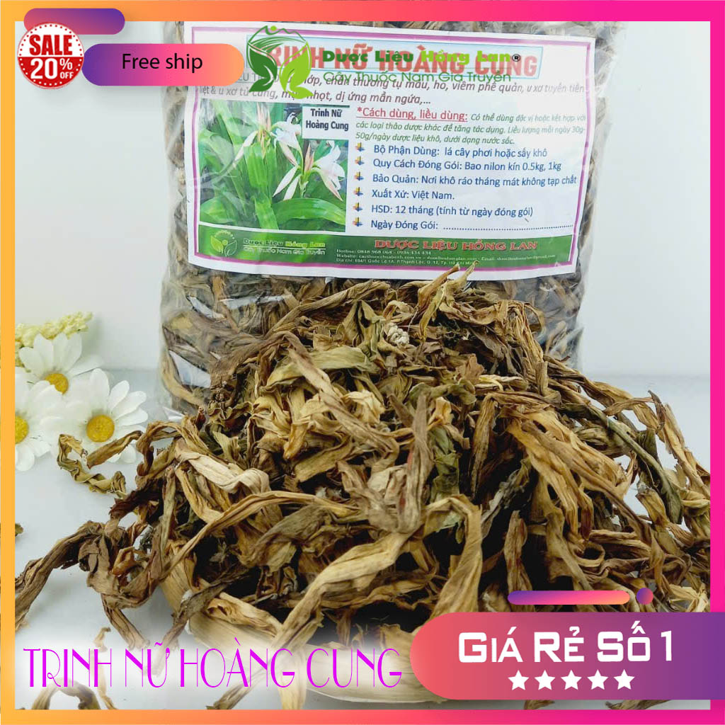 [FreeshipMAX] [HCM]Cây Trinh Nữ Hoàng Cung khô 1kg