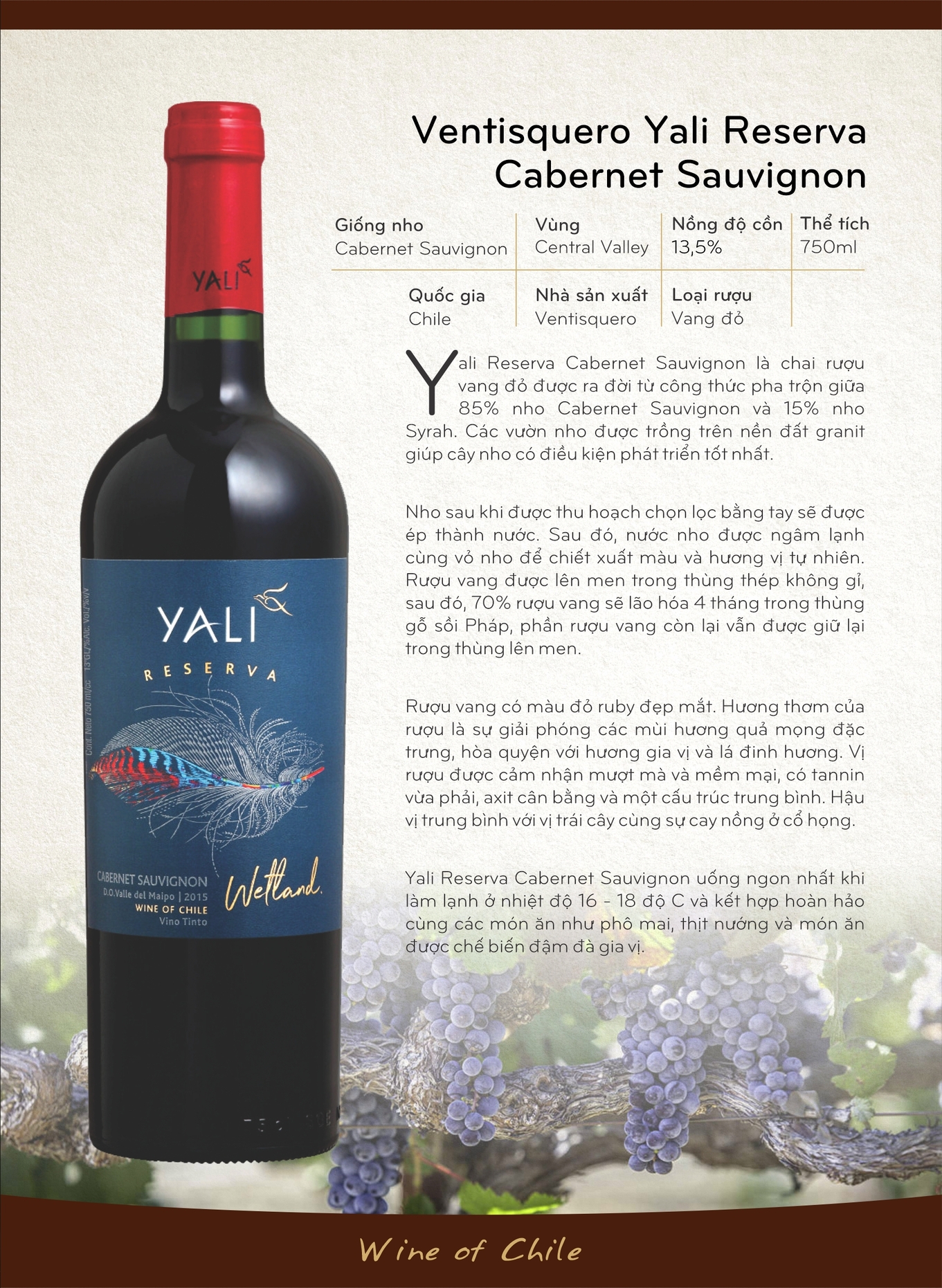 Rượu vang Yali Reserva Cabernet Sauvignon