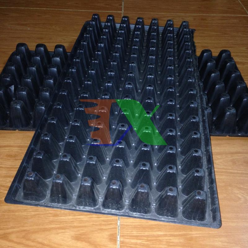 Set 5 tray nursery tree, nursery tray beads, blister ươm (105 holes) (black)