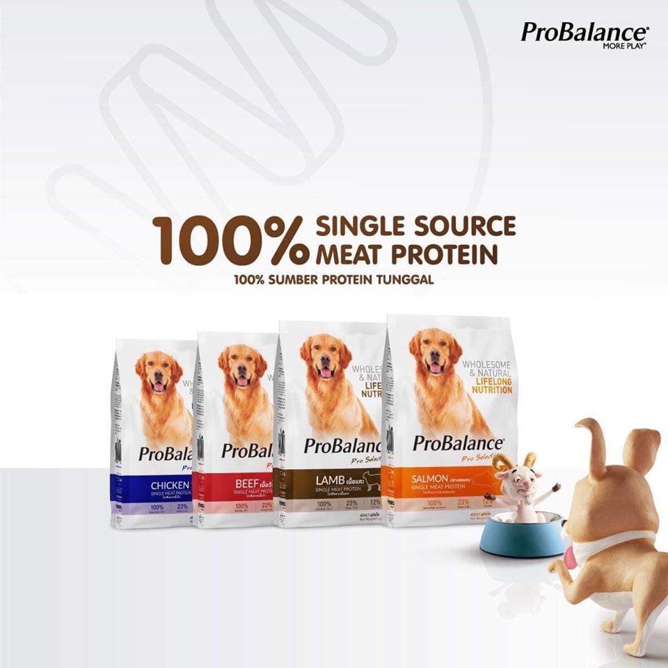 Thức ăn cao cấp giá bình dân cho cún -  ProBalance 3.2kg