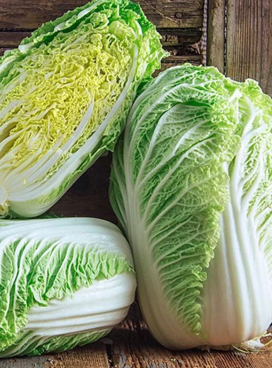 Hạt Giống Cải Thảo F1 - Gói 100 hạt