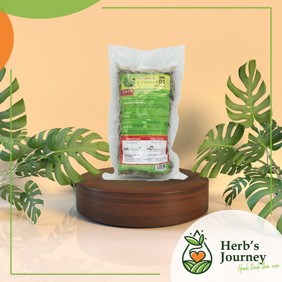 Dây thìa canh DK loại đặc biệt ( Trà dây thìa canh lá to kết hợp dây thìa canh lá nhỏ) - Từ dược liệu cây dây thìa canh khô - Trà dành cho người tiểu đường