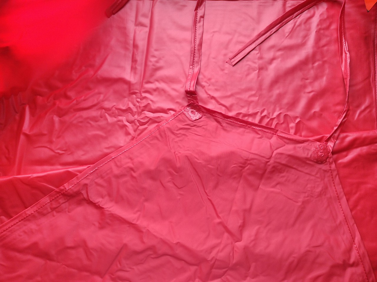 WATERPROOF PLASTIC APRON (Can be reused many times) - Red