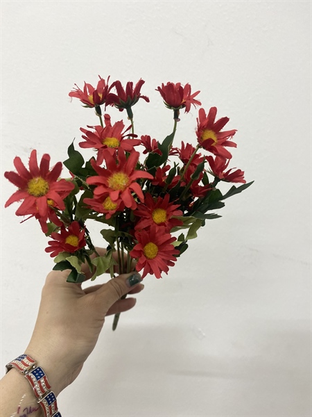 Hoa Cúc Họa Mi, Hoa Giả 055