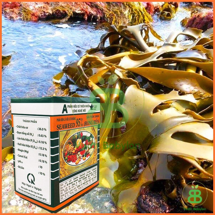 Phân Bón Lá Hữu Cơ Seaweed Rong Biển Canada