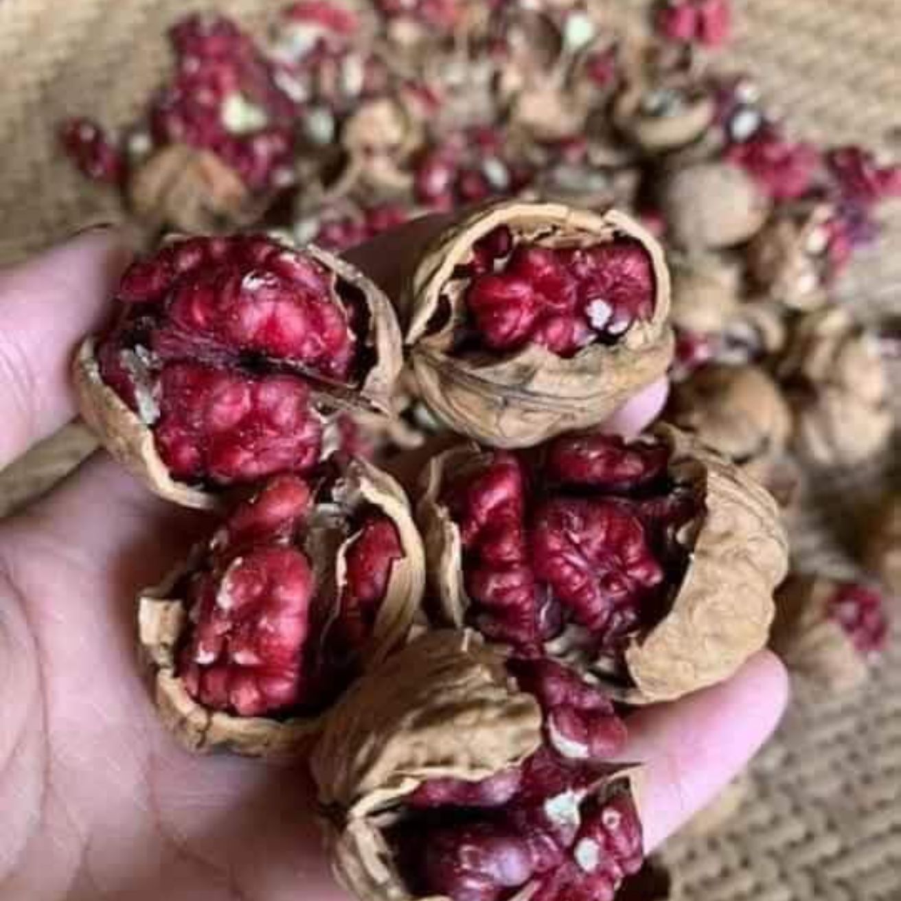 1kg quả óc chó đỏ