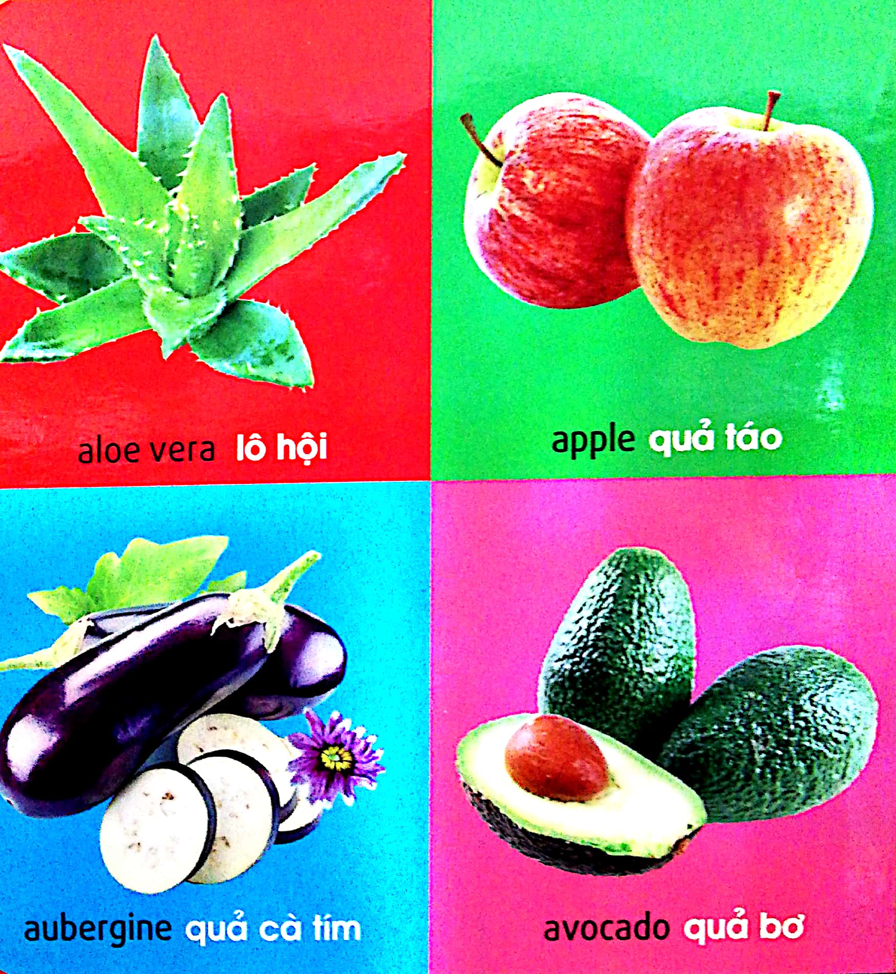 Fahasa - 101 First Words - Plants / 101 Từ Đầu Tiên - Thực Vật