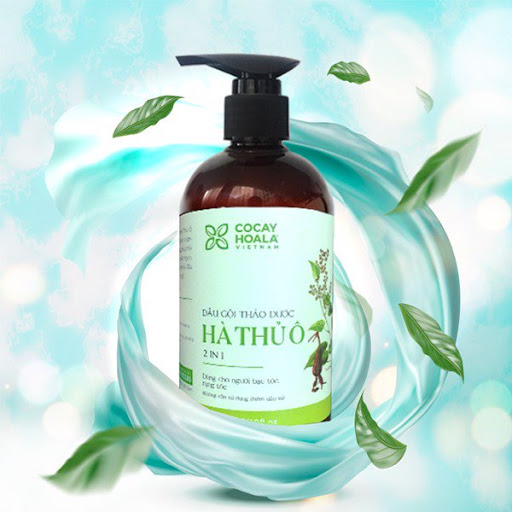 Dầu gội thảo dược Hà thủ ô 800ml 2 in1